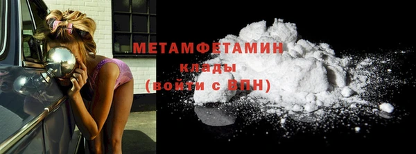 индика Инсар