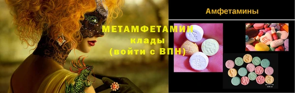 индика Инсар