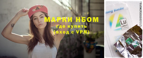 индика Инсар