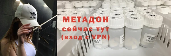 индика Инсар