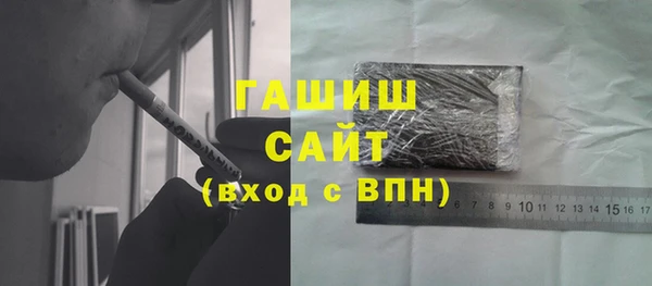 индика Инсар