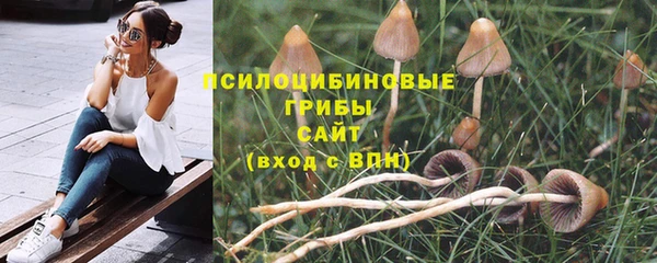 индика Инсар